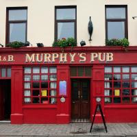 Murphy's Pub and Bed & Breakfast，位于丁格尔的酒店