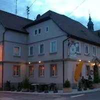 杜瑞库尼格酒店，位于Neckarbischofsheim的酒店