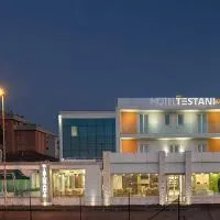 費辛隆尼特斯塔尼酒店，位于弗罗西诺内的酒店