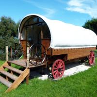 Wacky Stays - unique farm-stay glamping rentals, FREE animal feeding tours，位于凯库拉凯庫拉机场 - KBZ附近的酒店