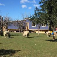 Beautiful cabin in Patagonia Chile.，位于小智利Chile Chico - CCH附近的酒店