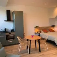 Green studio-Situé à 15 min de Botrange, Parc Hautes Fa gnes et Francorchamps，位于Heusy的酒店