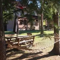 Vila Davidovic-Fruska gora，位于Manđelos的酒店
