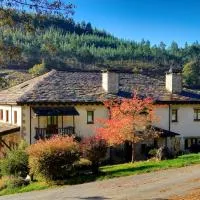 Hotel Balneario Río Pambre，位于帕拉斯德丽的酒店