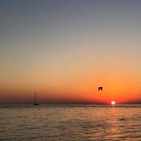 Antibes Seaside one room studio in Salis Beach，位于昂蒂布的酒店