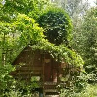Domek w lesie,位于Aleksandrów的酒店