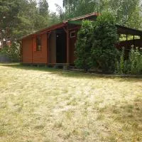 domki domek na jeziorem Wilczyńskim Budzisławskim , las, osobno ogrodzony 2-6 osób- klimatyzacja, ogrzewanie, 62-550 Zygmuntowo gm Wilczyn,位于Zygmuntowo的酒店