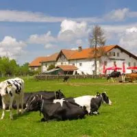 Auberge du Peu-Péquignot，位于Le Noirmont的酒店