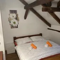 Apartmánový dům 13 Podkroví 2，位于塞奇的酒店