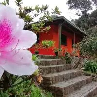 Nuestro Bosque I，位于Tena的酒店