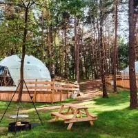 Planeta Glamping，位于Zalesie Górne的酒店
