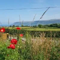 Glens glamping，位于库申多尔的酒店
