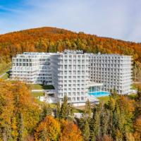 Crystal Mountain Hotel Wisła，位于维斯瓦的酒店