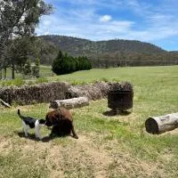 Donegal Farmstay，位于Sandy Flat的酒店