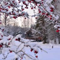 The Lake House "Ausatas"，位于Dobele的酒店