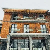 Hotel Ailama Mestia,位于梅斯蒂亚的酒店