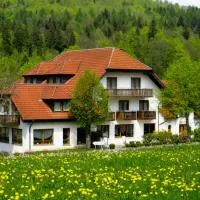 Rhön-Hotel Sonnenhof -，位于波彭豪森的酒店