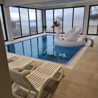 Pensiunea GOLD Wellness&Spa，位于Chişcău的酒店