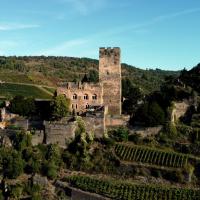 Burg Gutenfels，位于考布的酒店