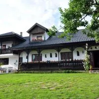 Bed & Breakfast Popamuseum Tarpesti strada Muzeului nr 28，位于Tîrpeşti的酒店