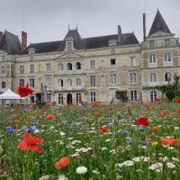 布里昂松城堡住宿加早餐旅馆，位于BaunéAngers Loire Airport - ANE附近的酒店