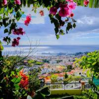 Granny's house view，位于丰沙尔Imaculado Coracao de Maria的酒店