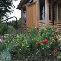 South Downs Eco Lodge & Camping，位于East Meon的酒店