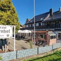 MATZ Brunnenhof，位于Wilgartswiesen的酒店