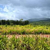 The Postcard Hideaway, Netravali Wildlife Sanctuary, Goa，位于Vichondrem的酒店