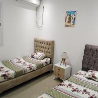 Pretty and independent Apartment located in Tunis city，位于突尼斯的酒店