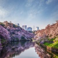 Four Seasons Hotel Tokyo at Otemachi，位于东京千代田区的酒店