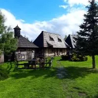 Gród Pędzików，位于亨齐内的酒店
