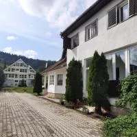 Antal Apartmans Lunca de Sus Kulcsosház Gyimesfelsőlok，位于Lunca de Sus的酒店