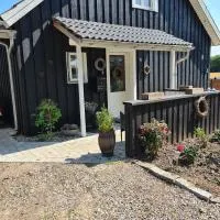 Marsvinslund bed and breakfast，位于维堡的酒店