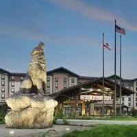 Great Wolf Lodge Manteca，位于曼特卡的酒店