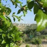 Casa vacanze Sicilia，位于Casteltermini的酒店