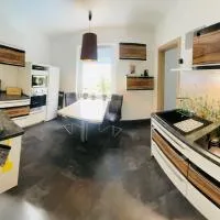 Ferienwohnung Ziegenschweiz，位于Auerbach的酒店