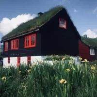 Turf House Cottage - Near Airport,位于Miðvágur的酒店