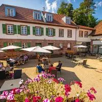 Beim Mühlenwirt,位于Bobenthal的酒店