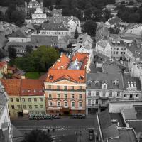 NARUTIS hotel，位于维尔纽斯Vilnius Old Town的酒店