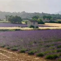 Location de vacances Rians haut Var，位于Rians的酒店