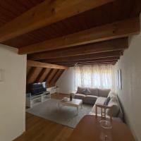 Get Cozy Family Flat Zürich，位于苏黎世Affoltern的酒店