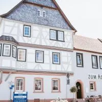 Gasthaus Zum Adler，位于Großwallstadt的酒店