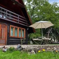 Cabana Paulina，位于Chişcău的酒店