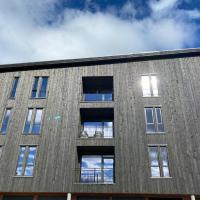 New apartment, Gausta in Rjukan. Ski in/ ski out，位于尤坎的酒店