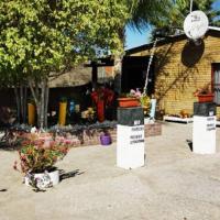 Palmeiras Lodge Oshikango，位于OshikangoOndjiva Pereira Airport - VPE附近的酒店