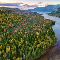 Bonne Bay Cottages，位于Bonne Bay Pond鹿湖地区机场 - YDF附近的酒店