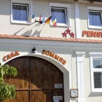 Casa Sommer,位于Petreşti的酒店