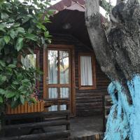 Zeytindağı bungalow，位于Mehmetalanı的酒店