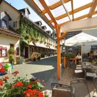 芬尔穆勒酒店,位于齐根吕克的酒店